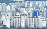 한도,대출,신용대출,경우,규제,주택,적용